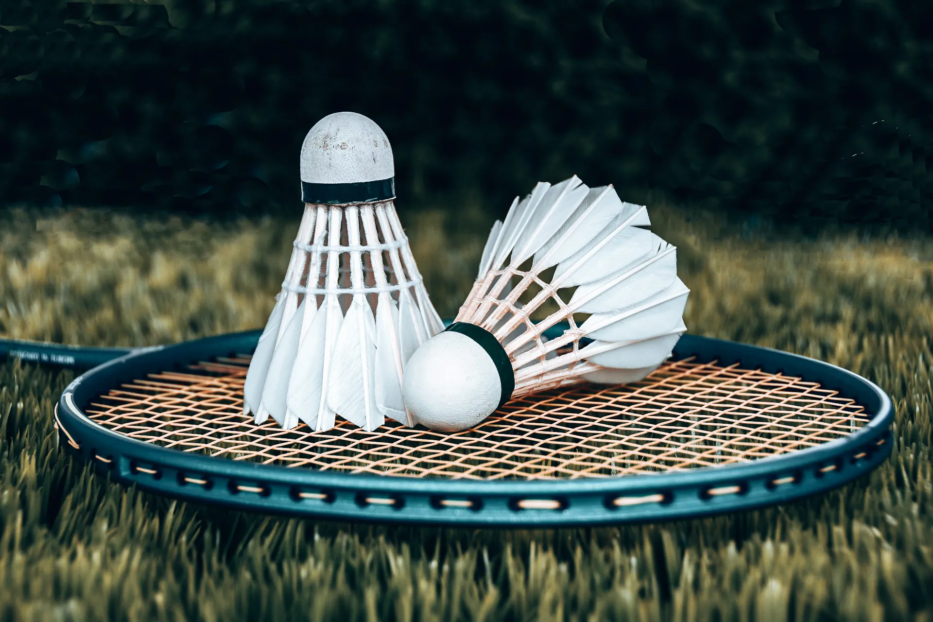 8 Fun Facts About Badminton You Didn’t Know